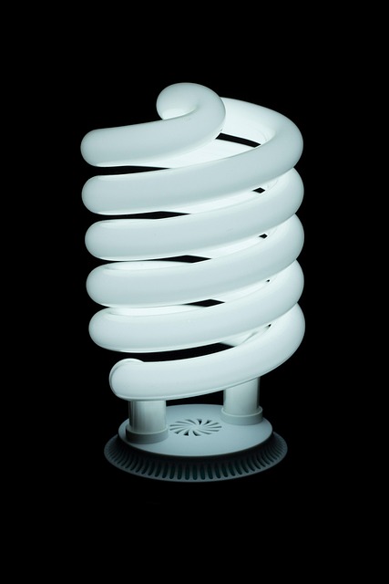 Free Light Bulb Dark photo and picture