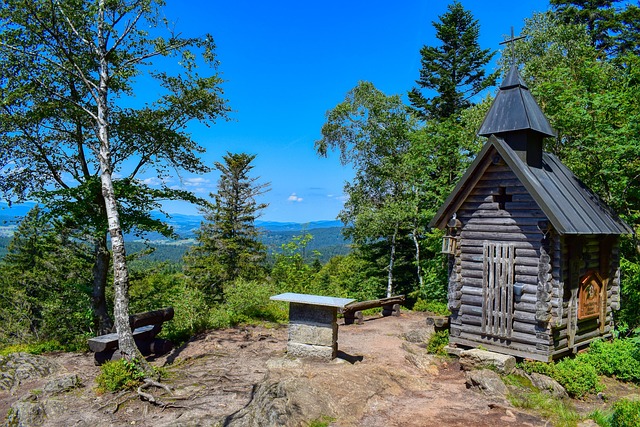Free Bavarian Forest Forest photo and picture