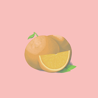 Free Orange Fruit illustration and picture