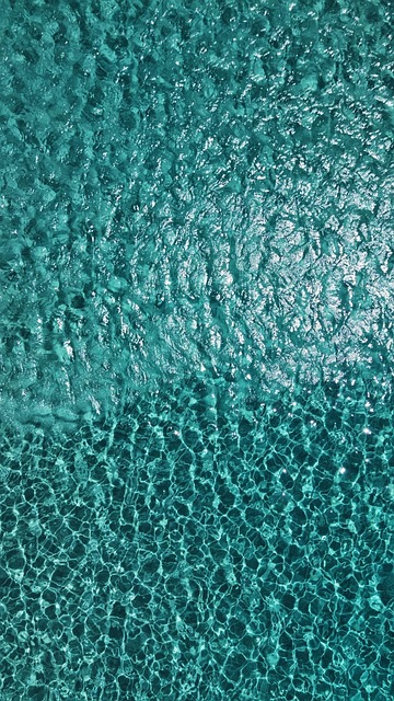 Free Sea Nature photo and picture