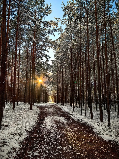 Invierno, Nieve, Naturaleza, País