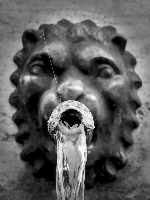 Gargoyles, Springvand, Vand, Løve