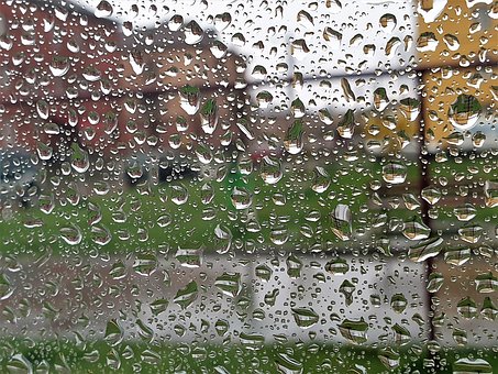 Free Rain Raindrops photo and picture