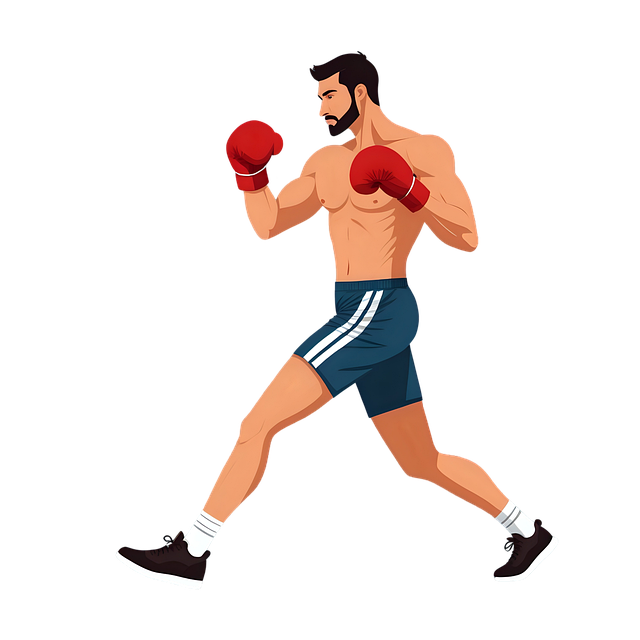 Free man boxer boxing illustration
