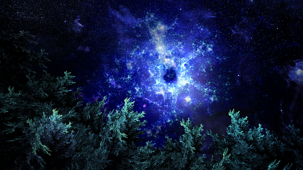 Free Fractal Forest illustration and picture