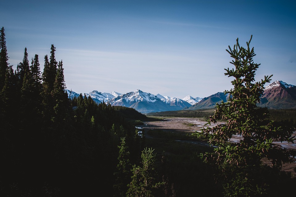 Alaska Forest Wilderness - Free photo on Pixabay