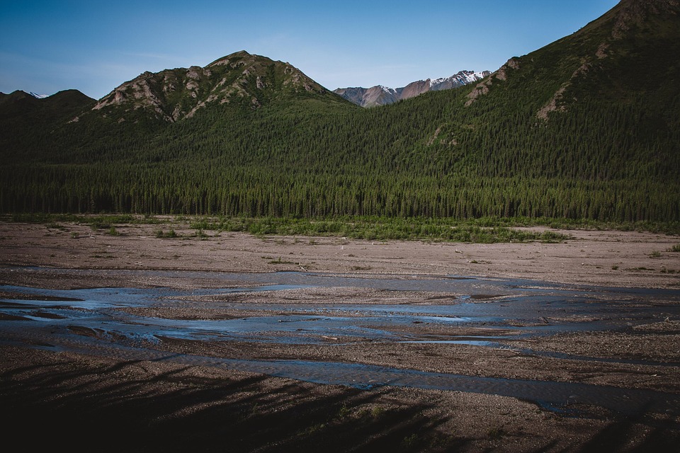 Alaska Forest Wilderness - Free photo on Pixabay