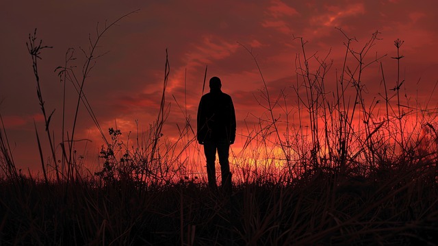 Free ai generated silhouette nature illustration