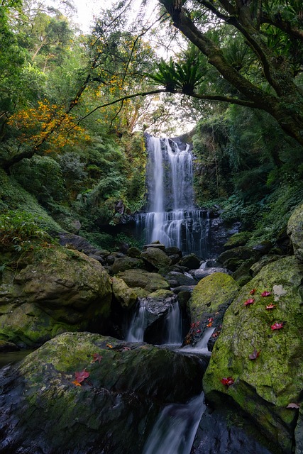 Ai Gerado, Cachoeira, Floresta, Arvores