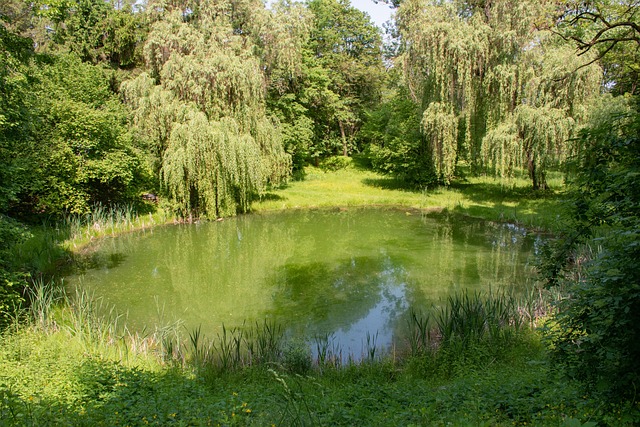 Free Lake Nature photo and picture