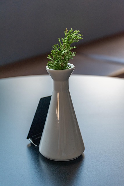 Free Vase Still Life photo and picture