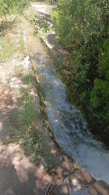 Free Nature Irrigation Ditch photo and picture