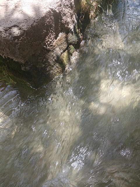 Free Water Nature photo and picture