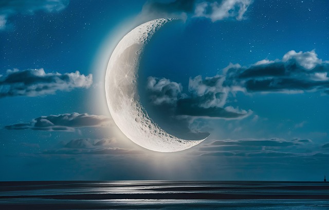 Free Moon Night illustration and picture