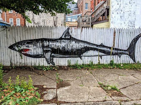 Free Street Art Jeremy Raymer photo and picture