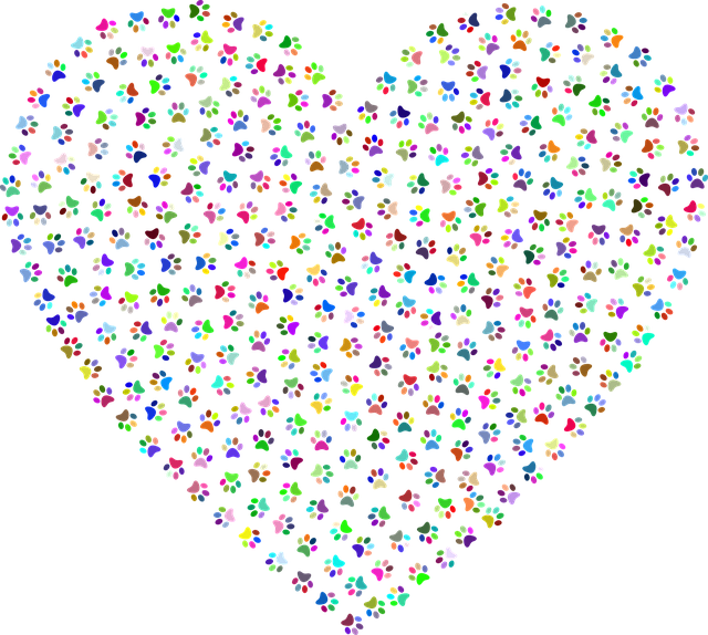 Free Paws Heart vector and picture