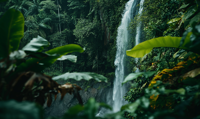 Free waterfall rainforest jungle illustration