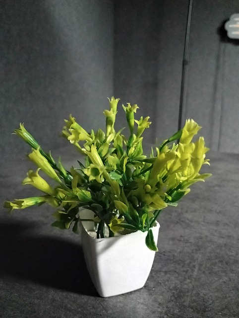Free Flowerpot Pot photo and picture