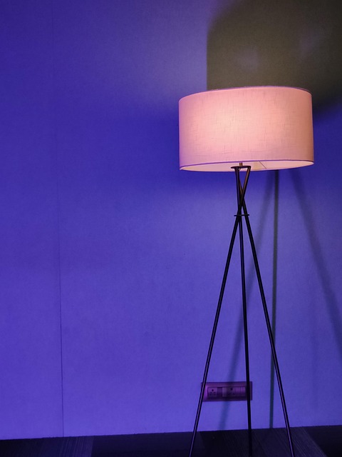 Free Lamp Light photo and picture