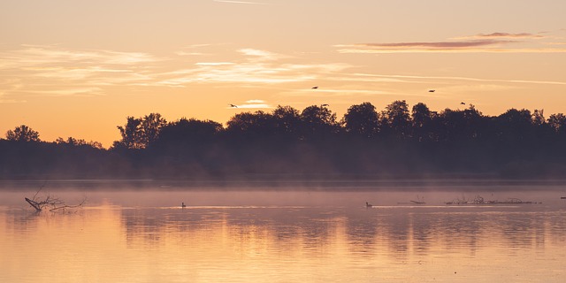 Free Sunrise Morning Haze photo and picture