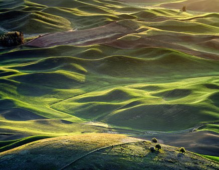 Napkelte, Dombok, Palouse, Tavaszi