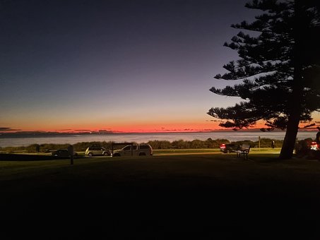Atardecer, Mar, Paisaje, Árboles