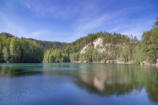 Lago, Ilha, Floresta, Florestas