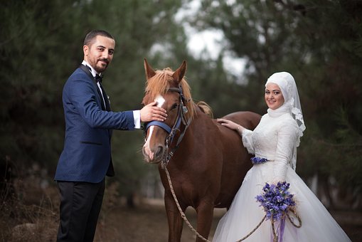 Free Couple Horse photo and picture