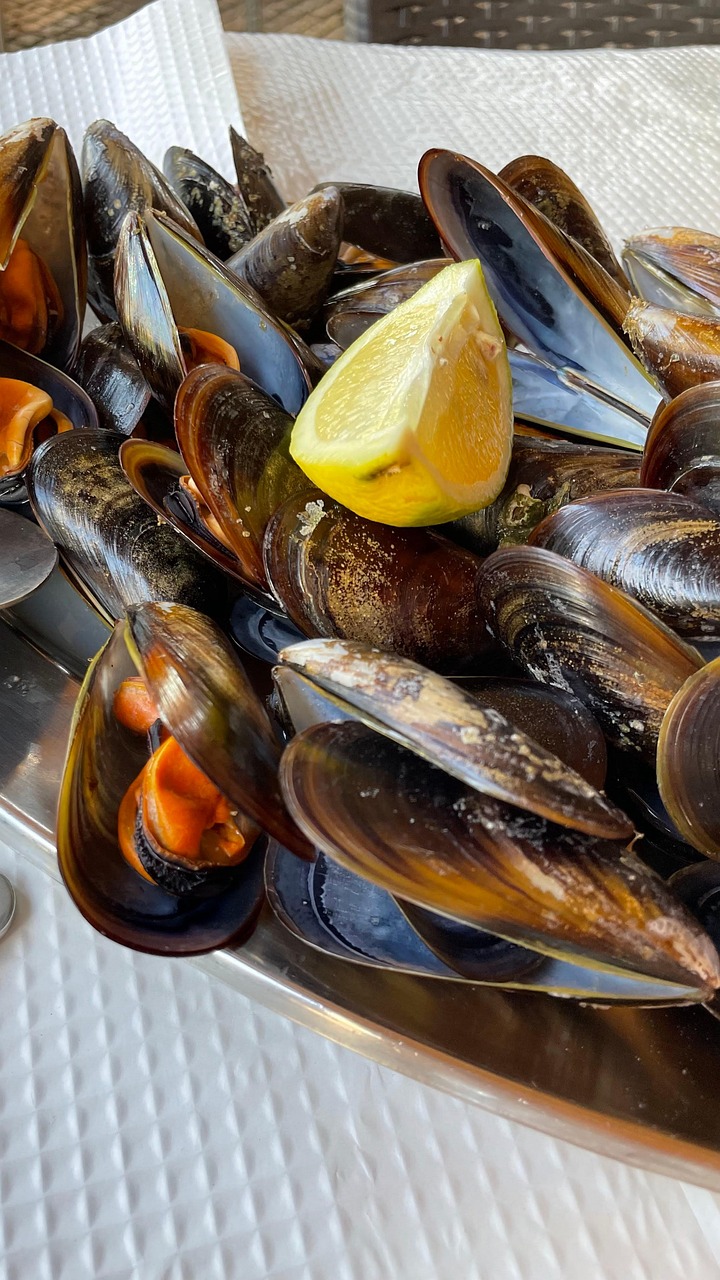 Miesmuscheln Dampf Zitrone - Kostenloses Foto auf Pixabay