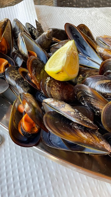 Free Mussels Steam photo and picture