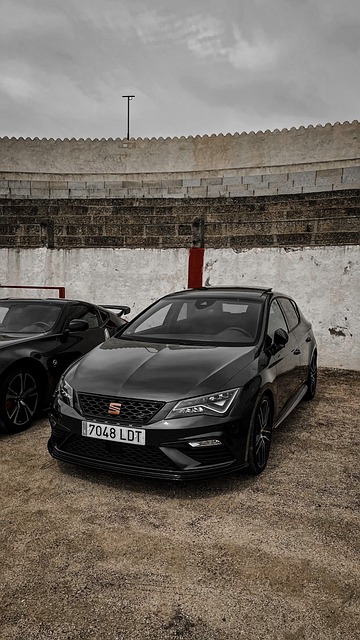 Free Seat Leon photo and picture