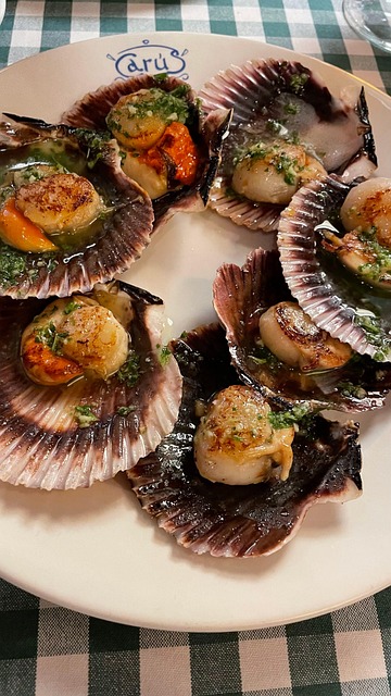 Free Scallop Clam photo and picture