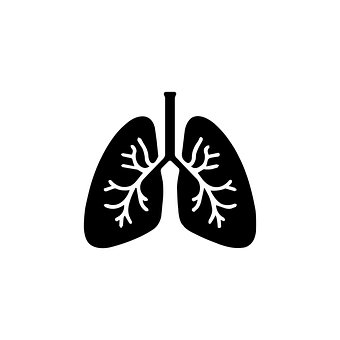 Free Icon Disease photo and picture