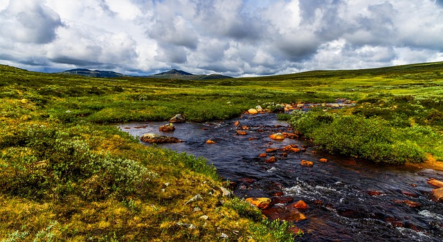 Free River Field photo and picture