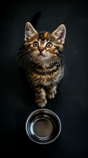 Free ai generated kitten cute illustration