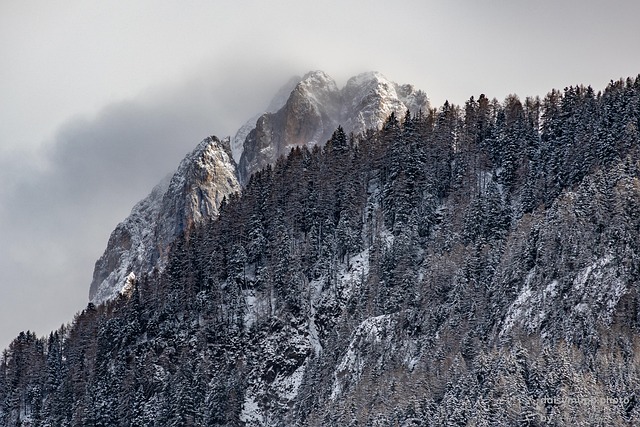 Montaña, Árboles, Nieve, Tarde