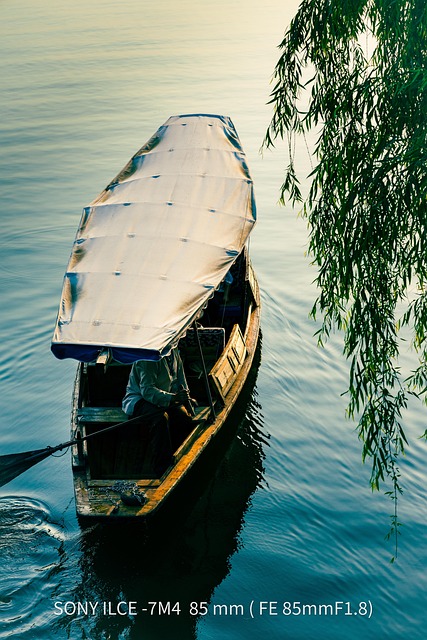 Free Lake Water photo and picture