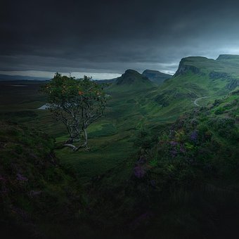 Free Nature Scenery photo and picture