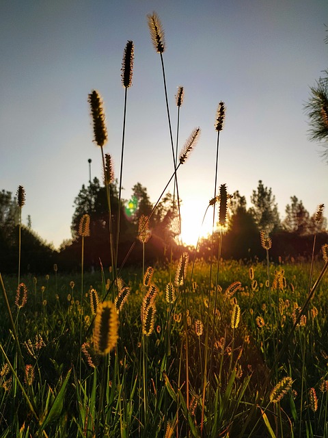 Free Sunset Landscape photo and picture