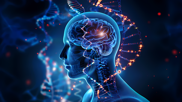 Moleküle, Diät, Nährstoffe, Gehirn, Dna