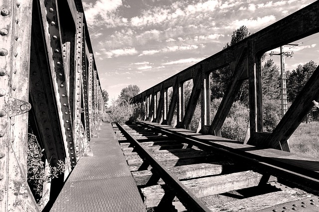 Free Train Railway photo and picture