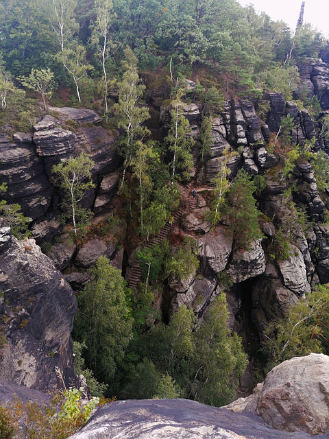 Wald, Natur, Treppe, Aufstieg, Felsen
