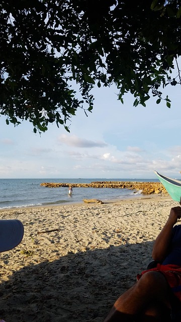 Free Beach Nature photo and picture