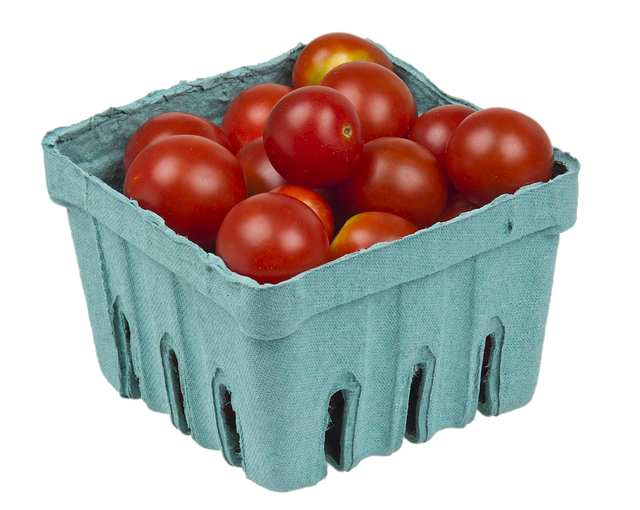 Free tomatoes nature food illustration