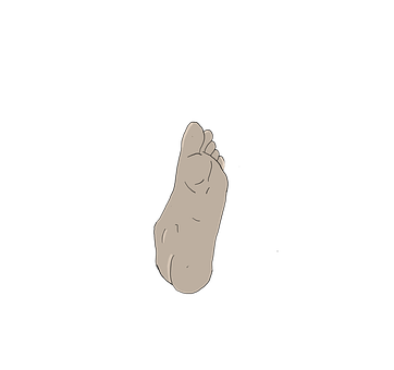 Free Sole Of The Foot Foot illustration and picture