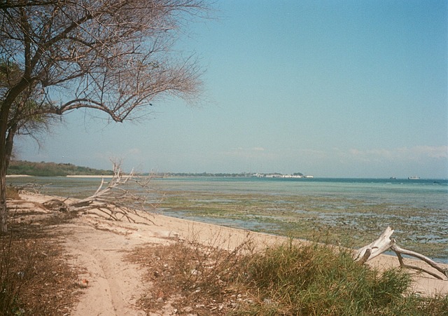 Free Sea Ocean photo and picture