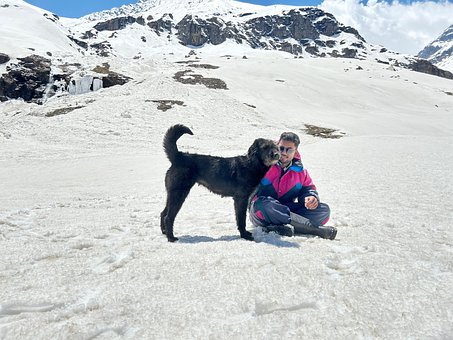 Free Snow Winter photo and picture