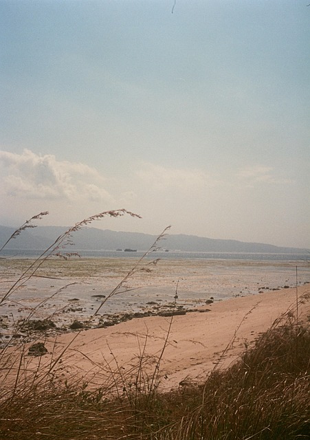 Free Sea Ocean photo and picture