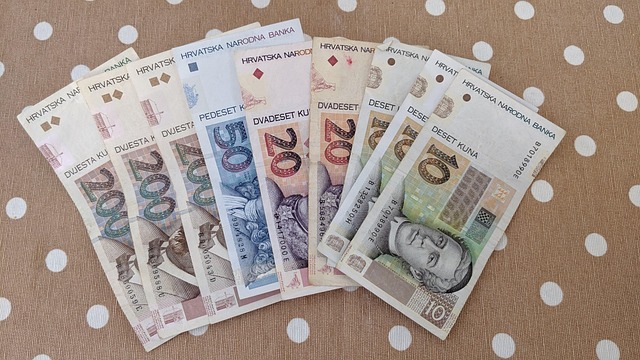Free Croatia Dollar Bill photo and picture