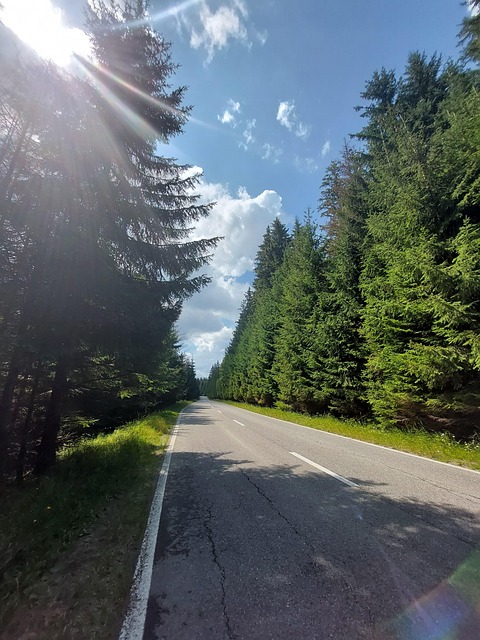 Příroda, Venkovní, Krajina, Hora, Les